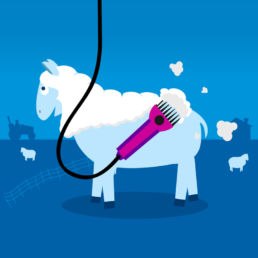 Spitfire Digital Agency - 2degrees mobile