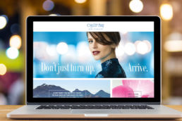 Spitfire Digital Agency - portfolio-oyster-bay-wines-9