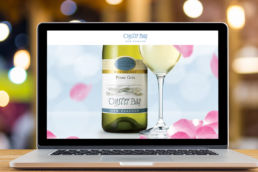 Spitfire Digital Agency - portfolio-oyster-bay-wines-5