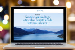 Spitfire Digital Agency - portfolio-oyster-bay-wines-4