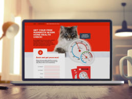 Spitifre Creative Agency Auckland - Mammoth Insulation - 4