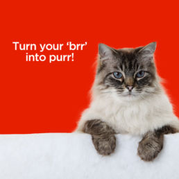 Spitifre Creative Agency Auckland - Mammoth Insulation - 2