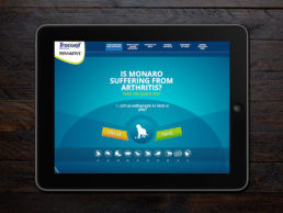 Spitfire Digital Agency - portfolio - zoetis - canine artritis7