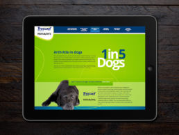 Spitfire Digital Agency - portfolio - zoetis - canine artritis6