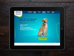 Spitfire Digital Agency - portfolio - zoetis - canine artritis3