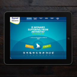 Spitfire Digital Agency - portfolio - zoetis - canine artritis1